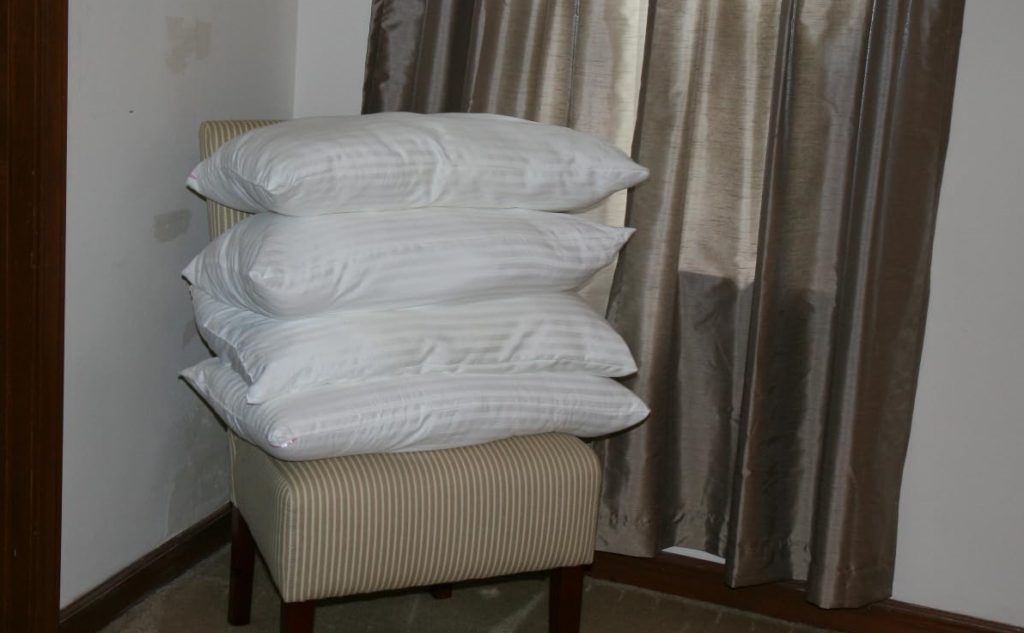 A chair with soft pillows, featuring EIUE Down Bed Pillows, shown in use for a product review.