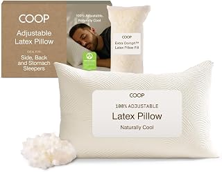 Coop Home Goods Adjustable Latex Pillow Queen, Talalay Latex & Microfiber Fill, Best Pillows for Sleeping