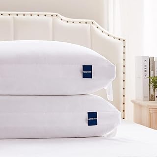 ACCURATEX King Pillows Set of 2