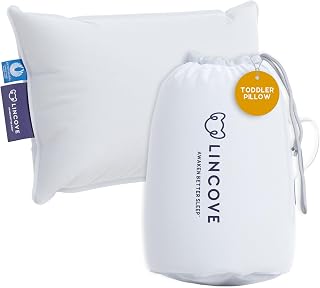 Lincove Canadian Down Toddler Pillow