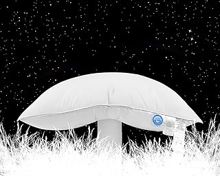 Canadian Goose Down Pillows Standard Size Set of 2,80% Goose Down and 20% Goose Feathers Goose Feathers,1340+ Fill Power White Down Pillow with 800 Thread Count Cotton Shell (White 20"x26" 2 Pack)