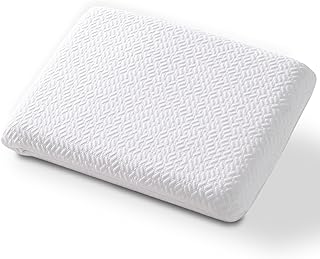 bigpawl Ultra Thin Memory Foam Pillow